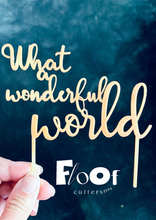 Load image into Gallery viewer, Tip Tops Toppers