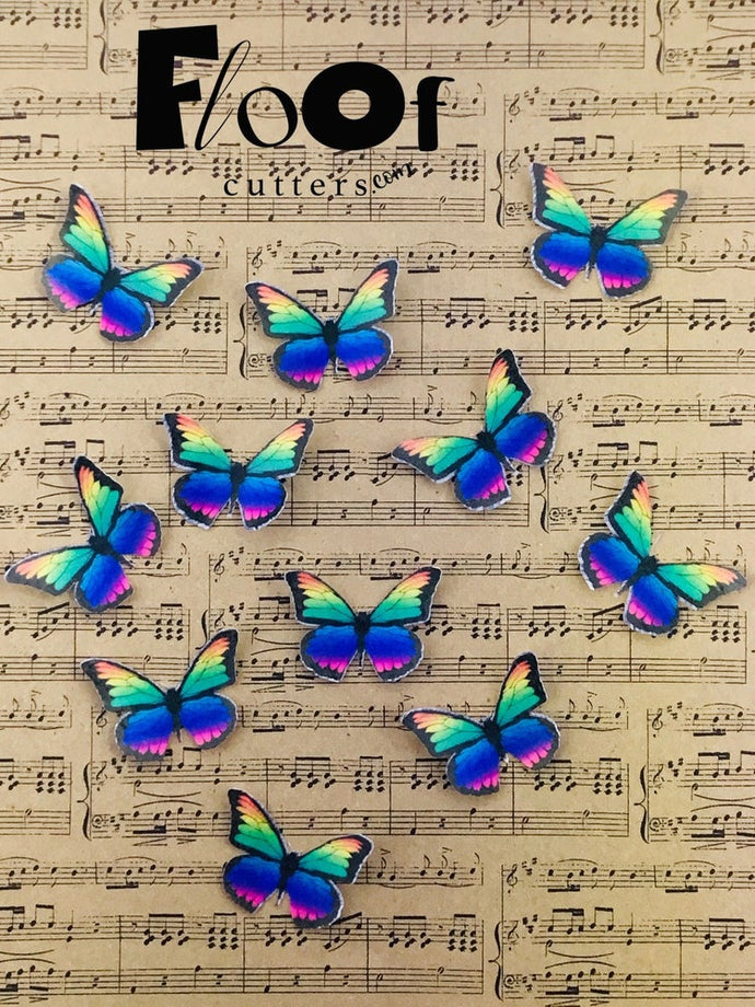 Spectrum Butterflies