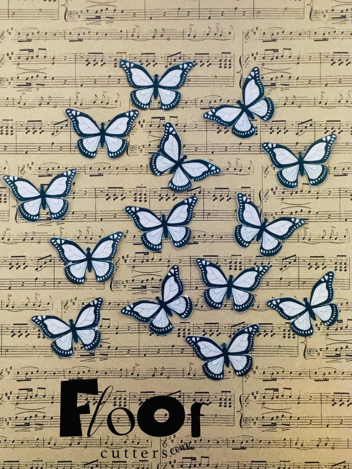 Monochrome Butterflies