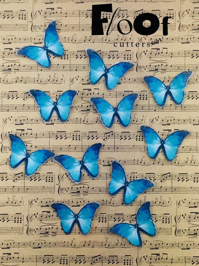 Sky Blue Butterflies