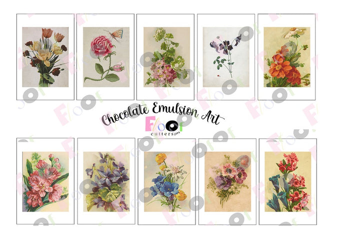 Book of Flowers Chocolate Emulsion Art