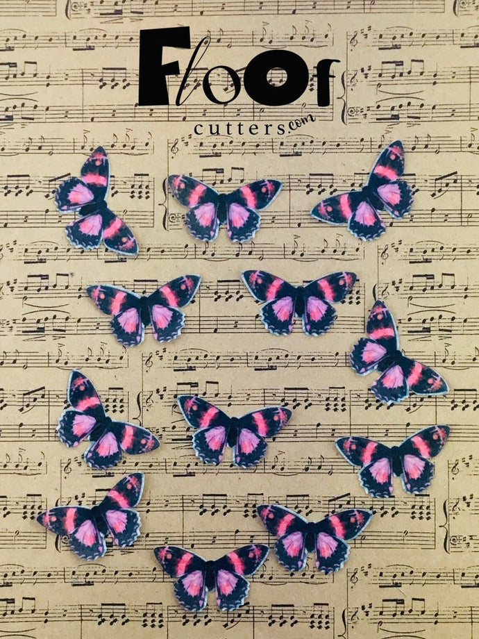 Pink & Black Butterflies