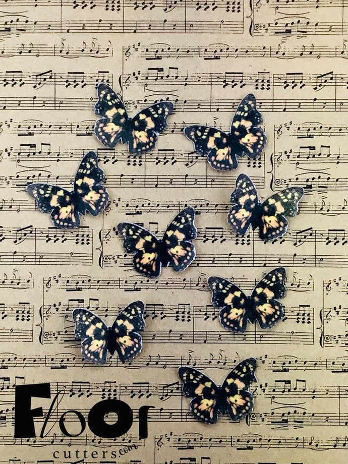 Monarch Butterflies