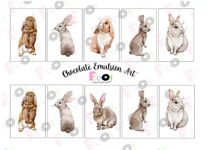 Easter Rabbits Chocolate Emulsion Art